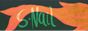 S-Nail